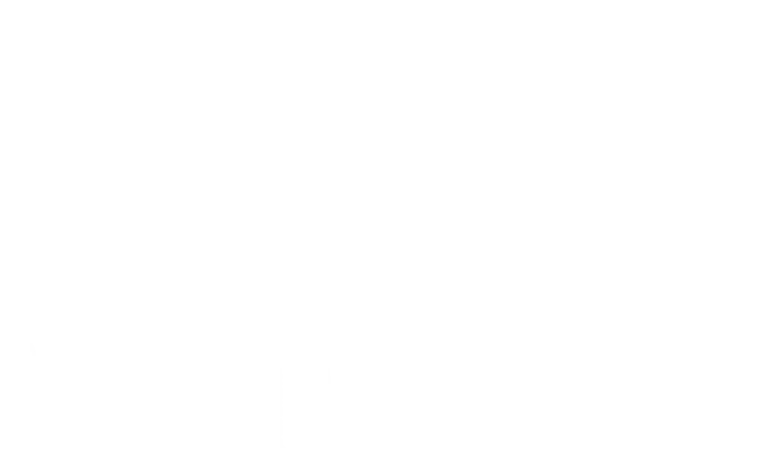 logo blanc